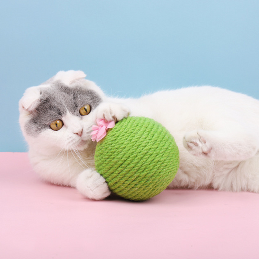 No.xile06 cactus sisal ball cat scratching ball amusing cat toy